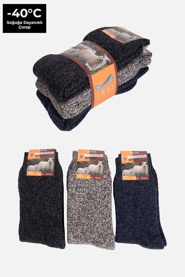 Aytuğ Erkek Norweger Merino Yünü Kışlık 3'lü Soket Bot Çorabı Çok Renki