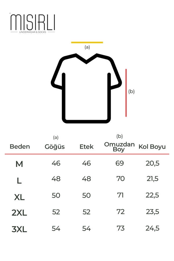 Mısırlı BAMBU HERCULES Slim Fit V Yaka Fanila / T-Shirt Antrasit