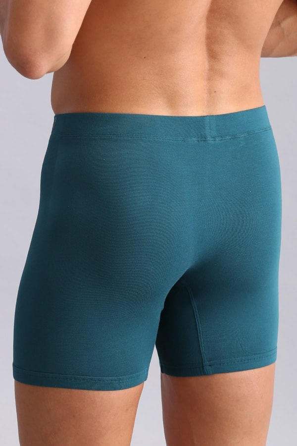 Mısırlı BAMBU ZEUS Regular Fit Long Boxer Fit Green