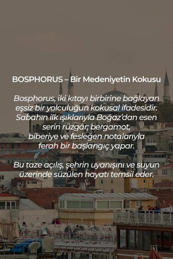 Mısırlı BOSPHORUS – 125 ml Çubuklu Oda Kokusu Renksiz