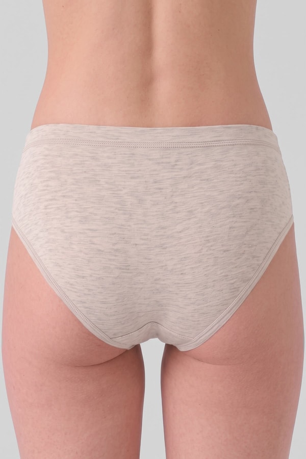 Mısırlı Kadın Gümüş Brief Slip Gri Melanj