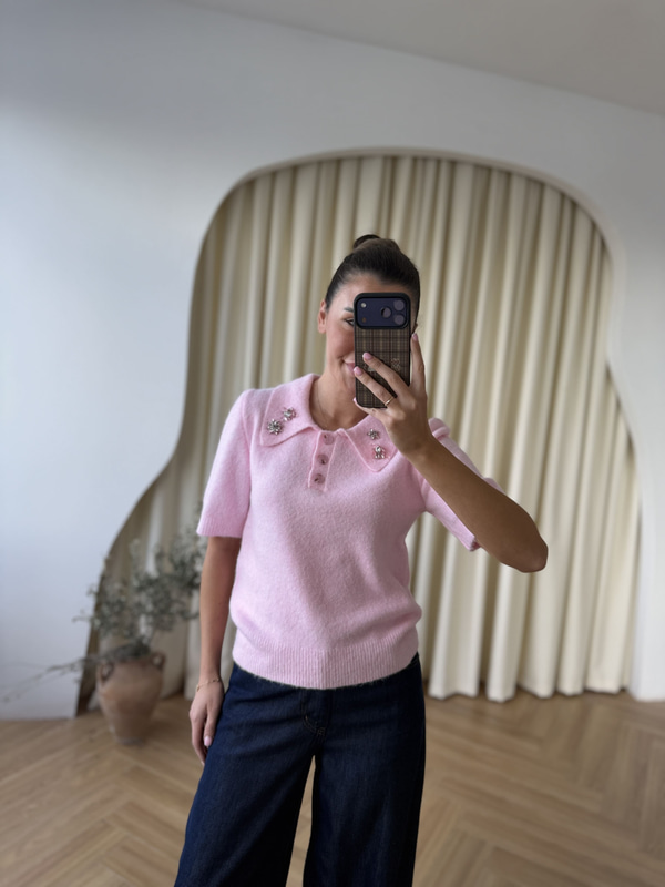Alby Yakası Taş İşlemeli Kısa Kollu Triko-Pembe