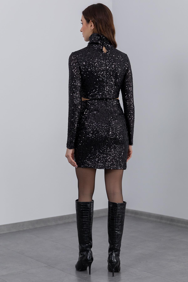 Noir Ensembles
