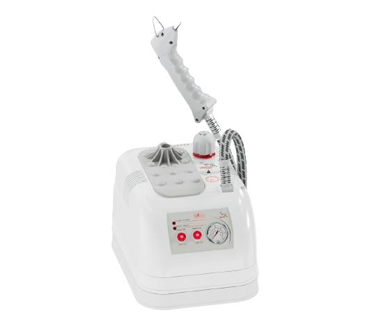 Goldental | Gld/Mn 2004 | Buharlı Temizleme Robotu | 2 Litre | Plastik Gövde galeri görseli 3