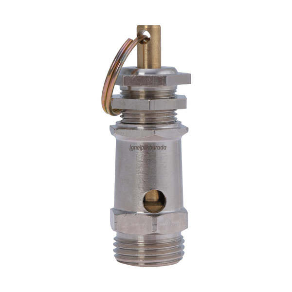 FDM Silter Ütü Kazanı Ventili Sy Kv 12 1/2 ana hero görseli