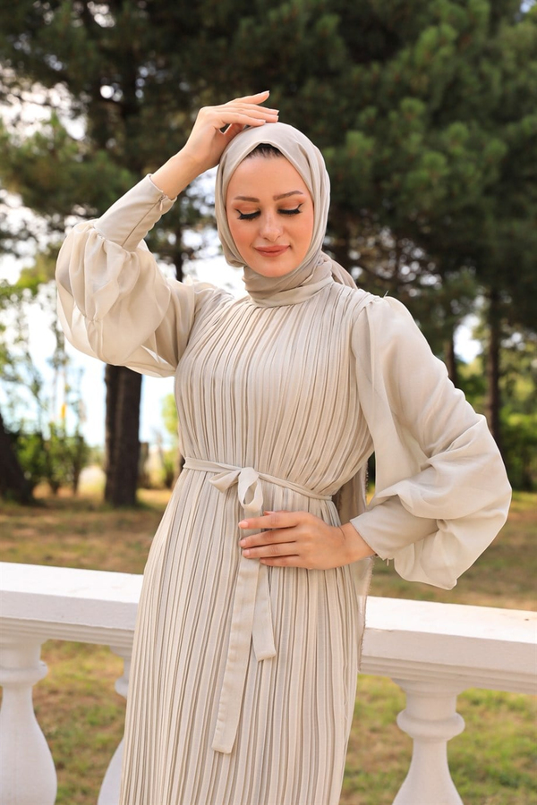 Sleeve Balloon Detailed Pleated Dressy - Mink
