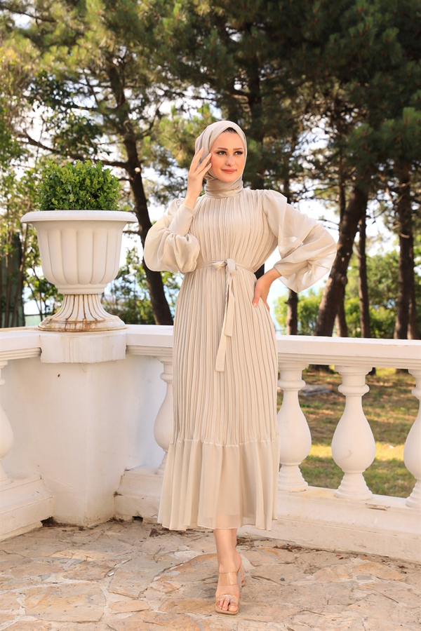 Sleeve Balloon Detailed Pleated Dressy - Mink