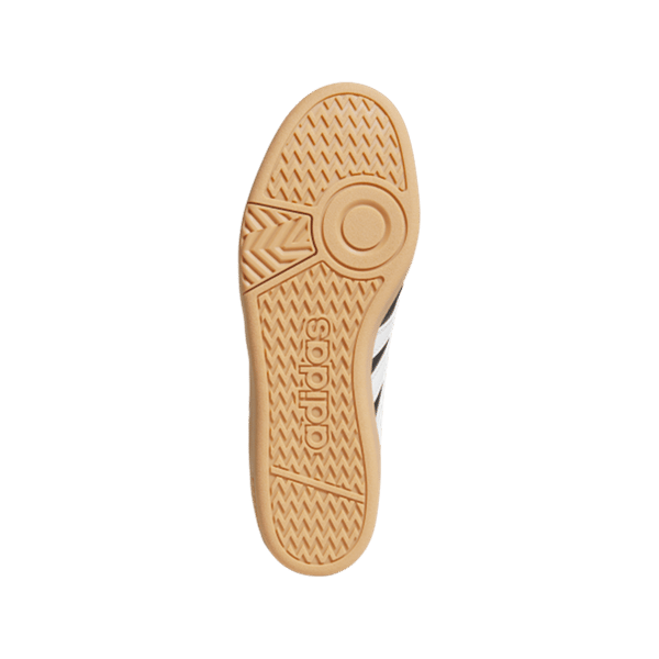 HOOPS 4.0