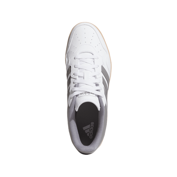 HOOPS 4.0
