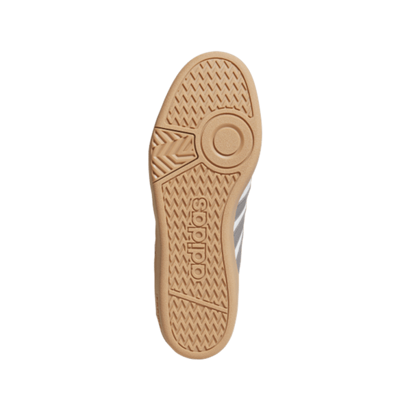 HOOPS 4.0
