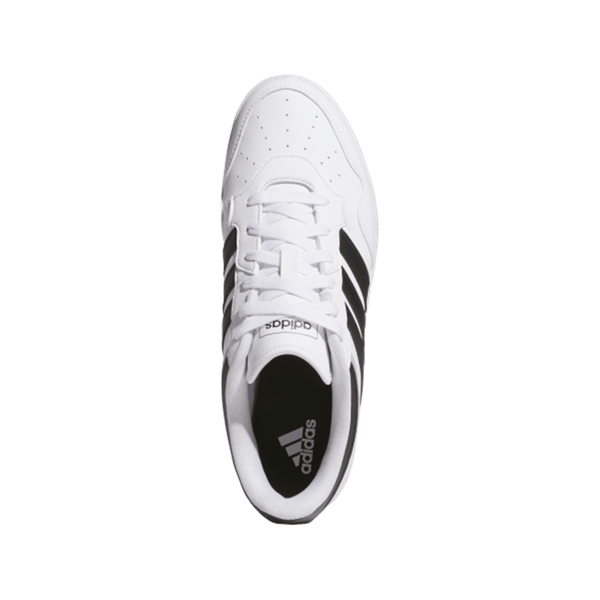HOOPS 4.0