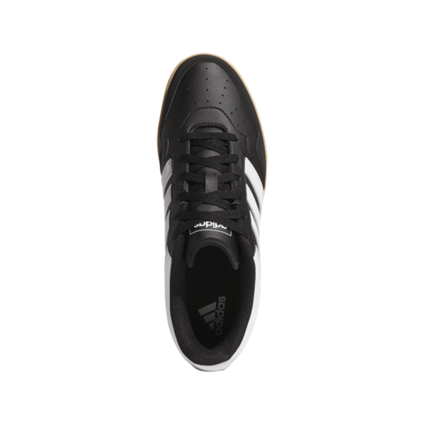 HOOPS 4.0