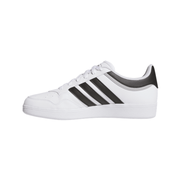 HOOPS 4.0