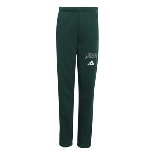 adidasGİYİMJ CLGT FL PNT