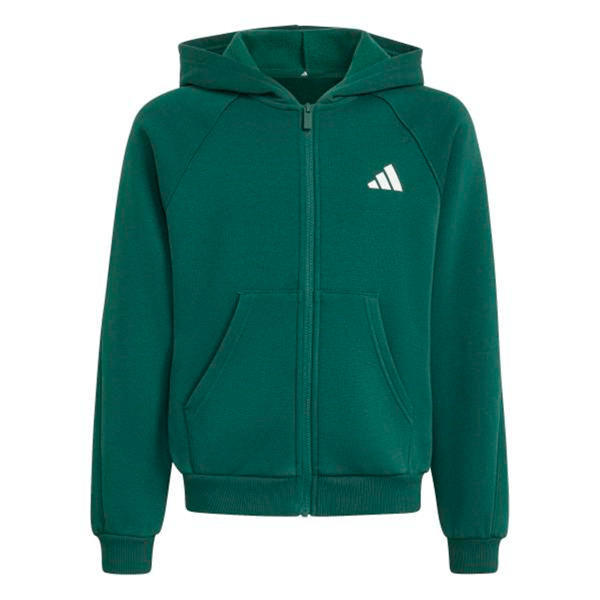 adidasGİYİMJ CLGT FZ HD