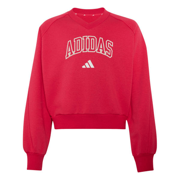 adidasGİYİMJG CLGT V-NECK