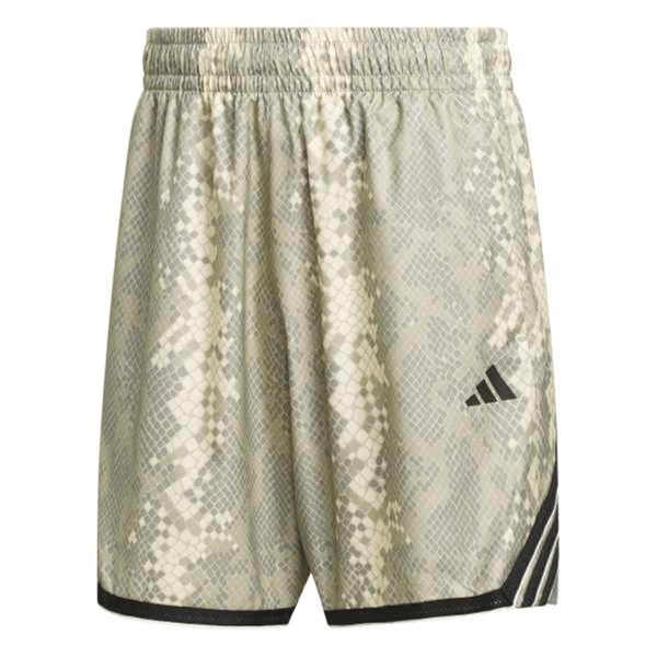 adidasŞORTCRAZYLITE ANIMA