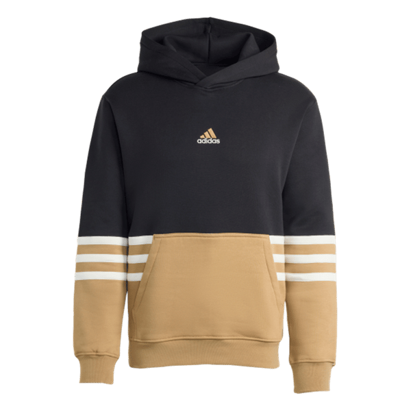 ADİDASSWEATSHIRTARCHIVE HOODIE
