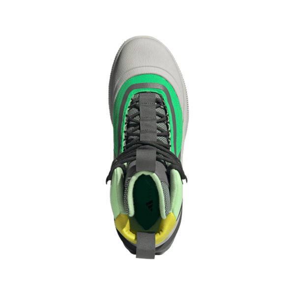 aSMC x TERREX HIKING BOOT