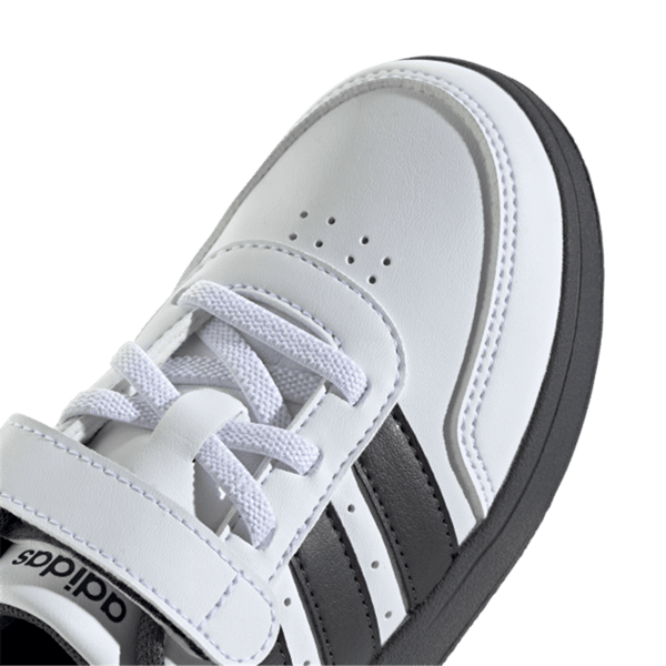 BREAKNET LionKing EL C