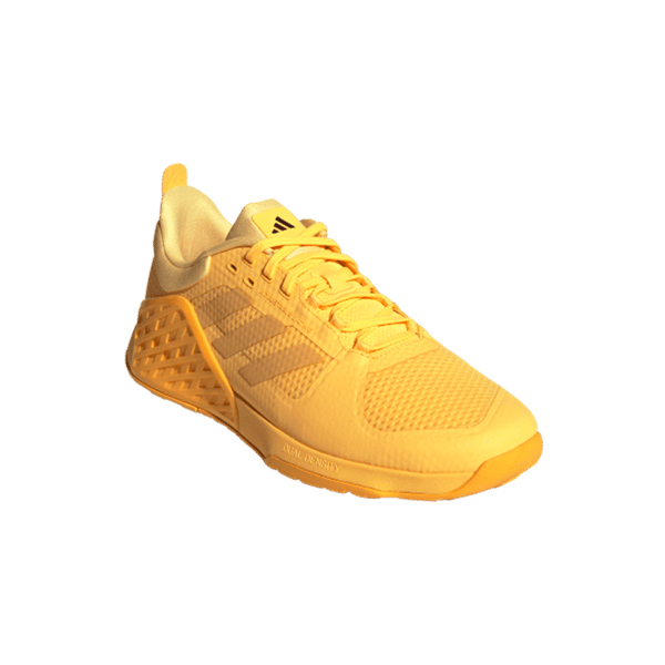 DROPSET 2 TRAINER
