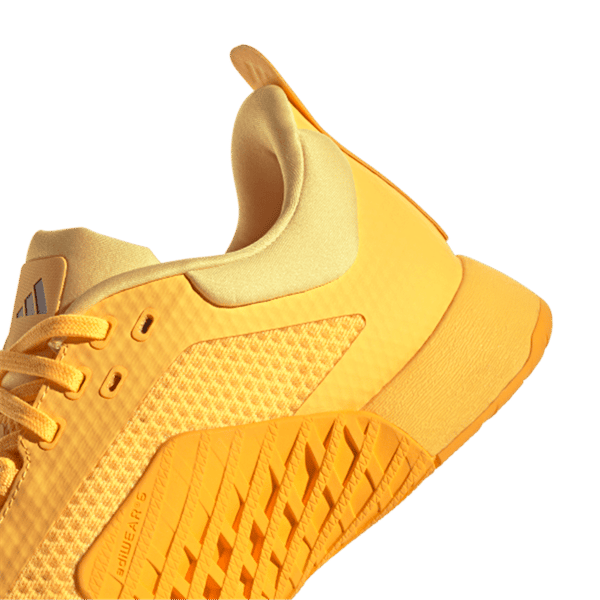 DROPSET 2 TRAINER