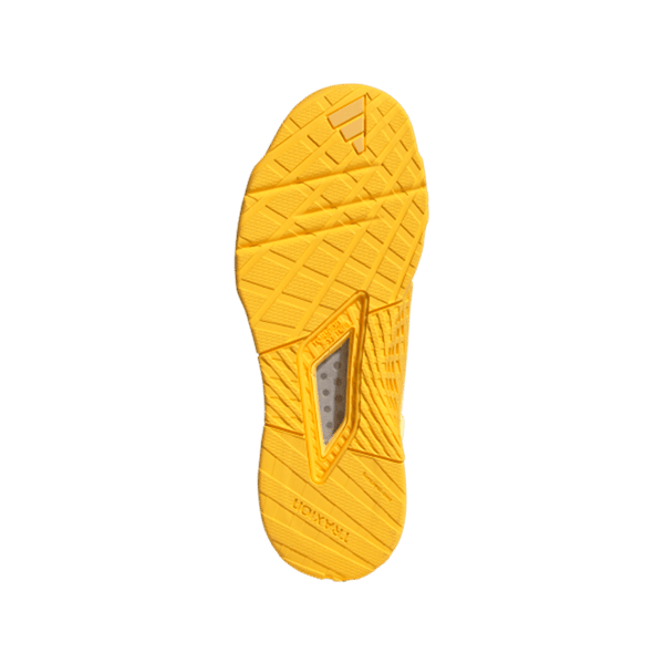 DROPSET 2 TRAINER