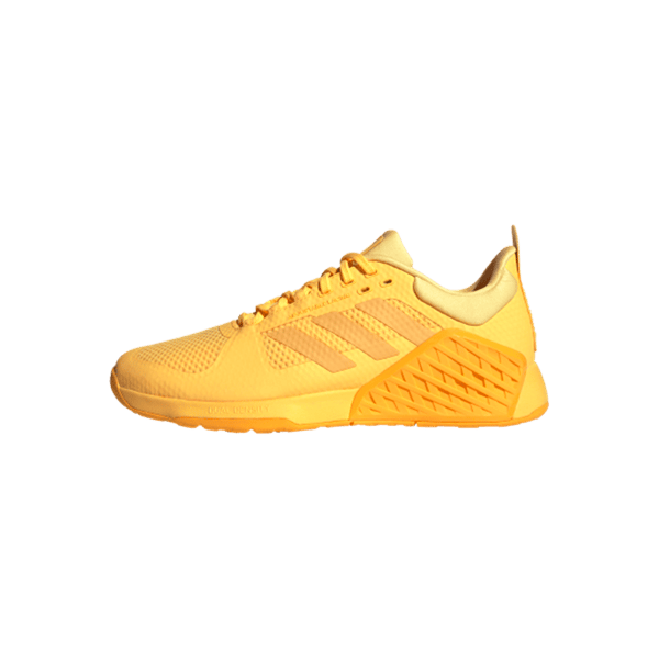 DROPSET 2 TRAINER