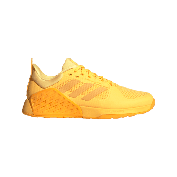 DROPSET 2 TRAINER