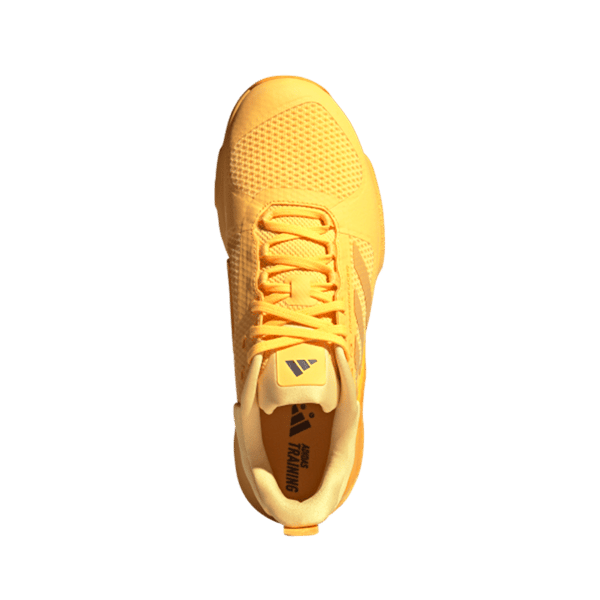 DROPSET 2 TRAINER
