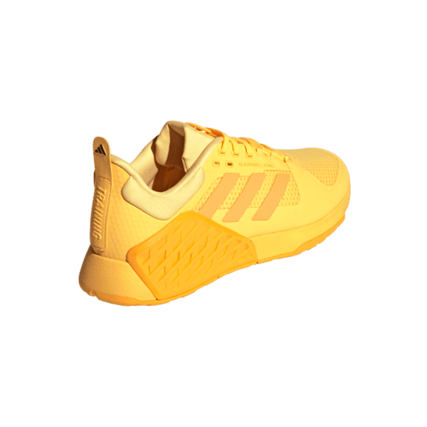 DROPSET 2 TRAINER