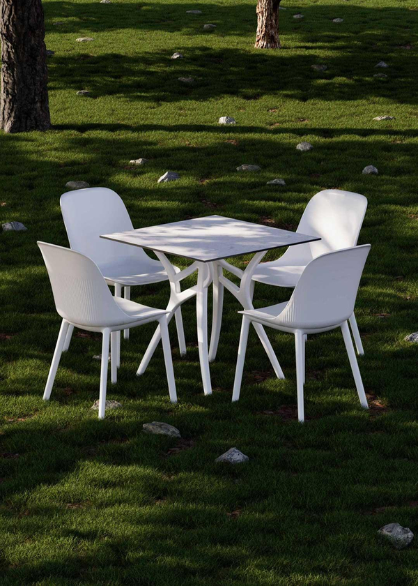 TİLİA SHELL-P SANDALYE