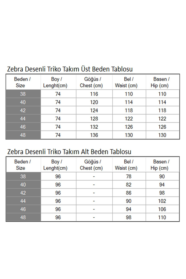 Zebra Desenli Triko Takım Gri 6154