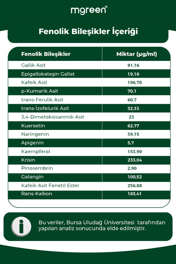MGreen 1 Kutu - Tanışma Paketi