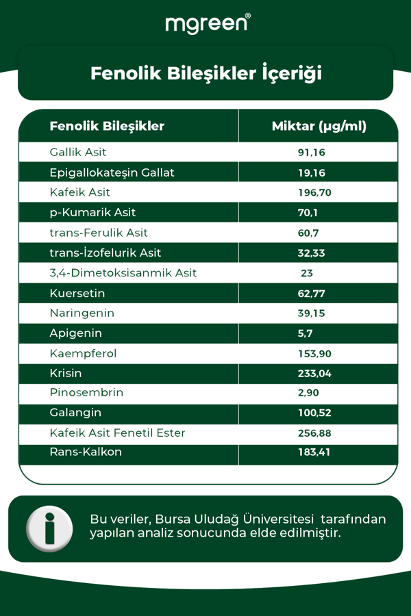 MGreen 7 Kutu - Aile Paketi