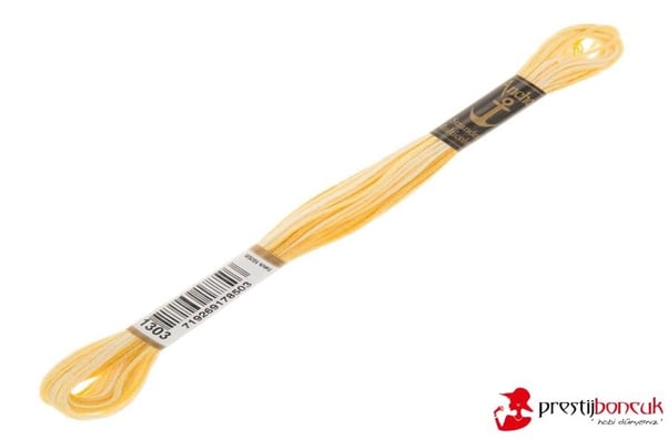Anchor Muline Nakış İpliği 1303