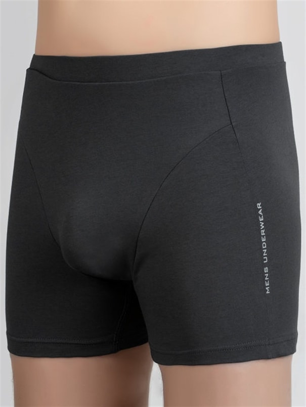 Baykar Erkek  Boxer 1223 Füme