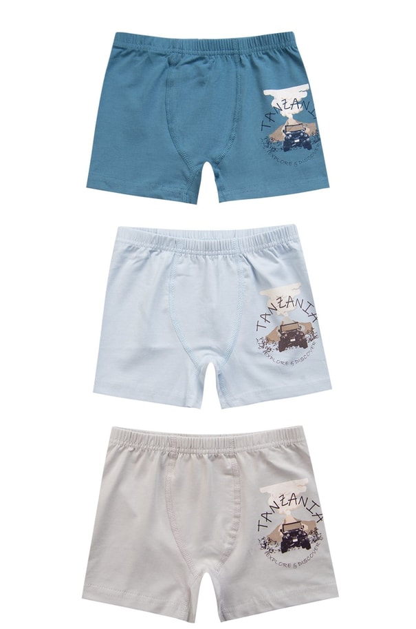Baykar Erkek Çocuk Baskılı Boxer 3'lü Paket 3664 Mavi