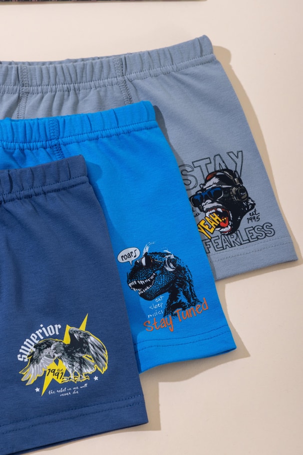 Erkek Çocuk Pamuklu Baskılı Rahat Kesim Likralı Boxer 3'lü Paket 3568 Renkli