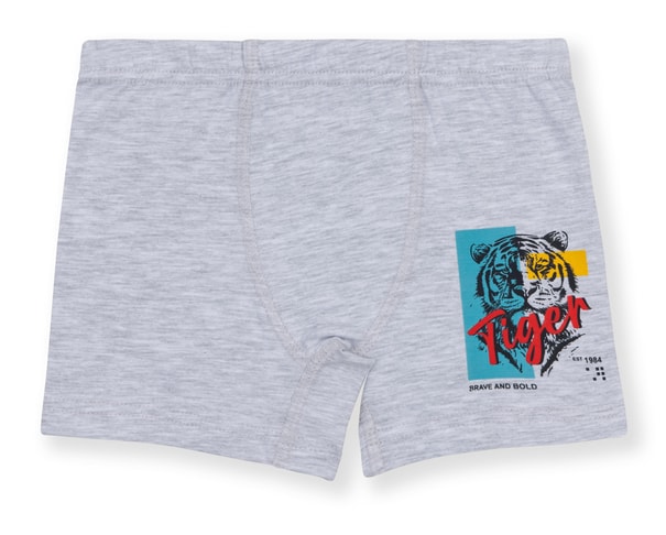 Erkek Çocuk Pamuklu Likralı Renkli Baskılı Boxer 3'lü Paket 3512 Renkli