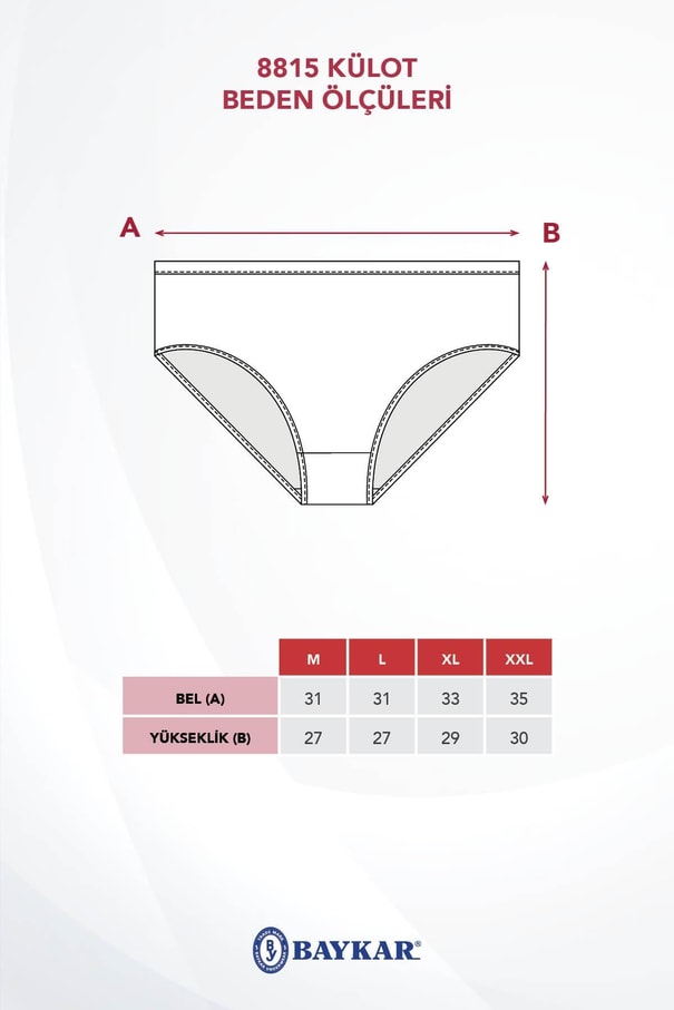Kadın Pamuklu Dantelli Bikini Kesim Düz Külot 3'lü Paket Ten Rengi