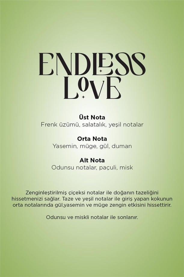 Endless Love Auramax Koku Kartuşu 250 ML Premium Seri