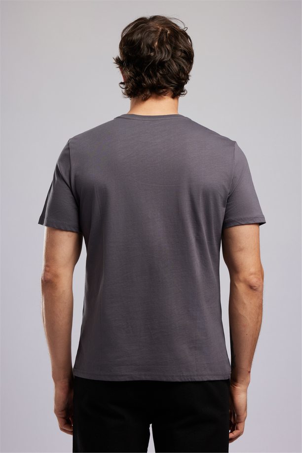 ORI Erkek Regular Fit %100 Pamuk Baskılı T-Shirt Gri