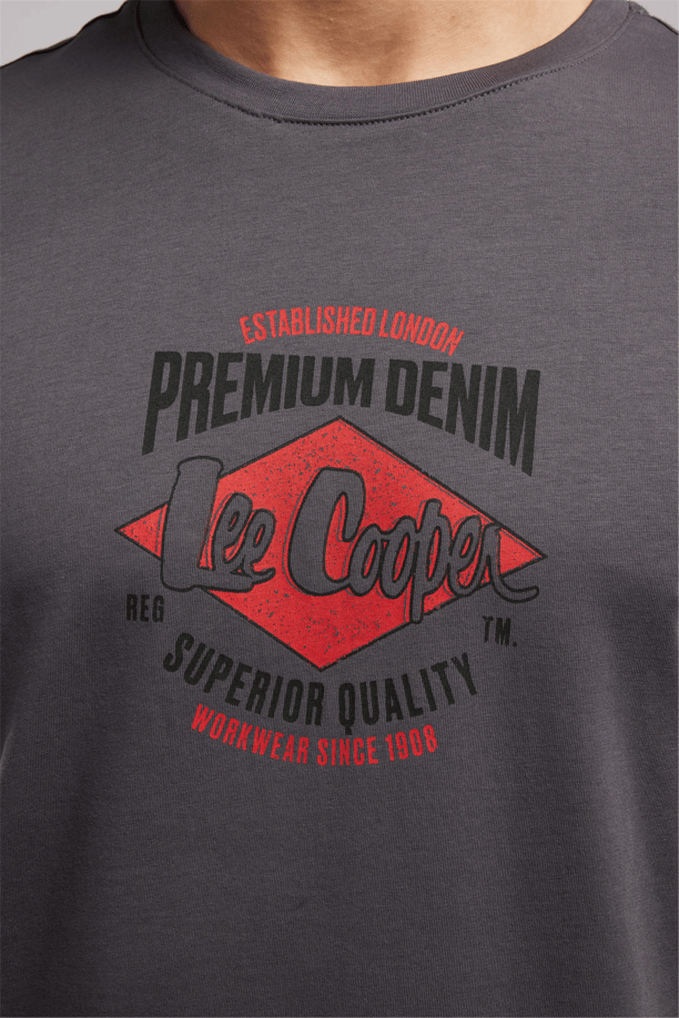 PREMIUM Erkek Regular Fit Baskılı Bisiklet Yaka T-Shirt Gri