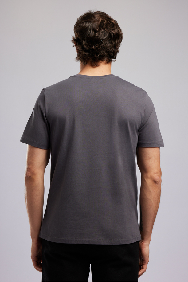PREMIUM Erkek Regular Fit Baskılı Bisiklet Yaka T-Shirt Gri