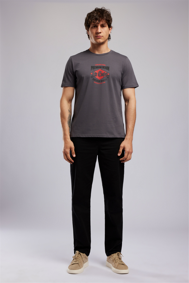 PREMIUM Erkek Regular Fit Baskılı Bisiklet Yaka T-Shirt Gri
