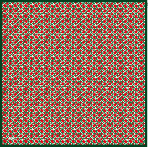 Armine Trend Eşarp 6022 01