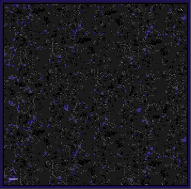 Armine Desenli Saf İpek Twill Eşarp 9311- 10