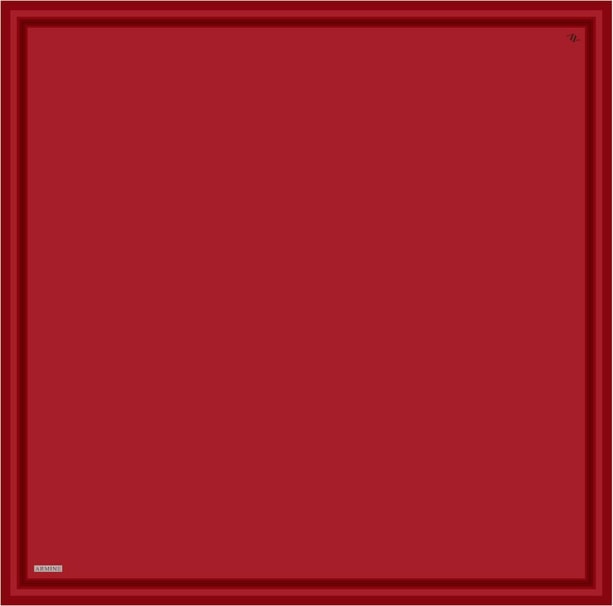 Armine Desenli Saf İpek Twill Eşarp 9356- 81