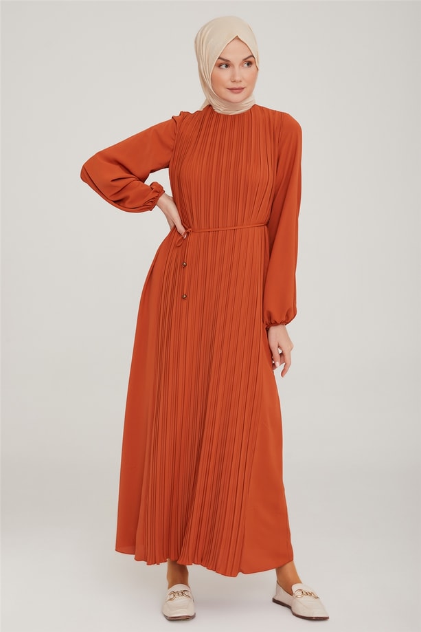  Armine Elbise 22KA9435 Tarçın